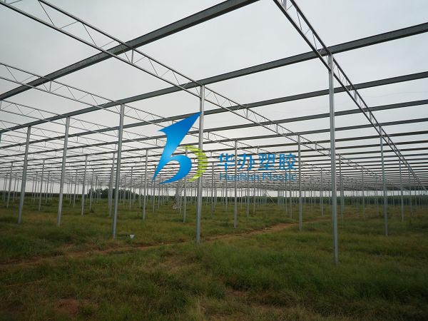 連云港東?？h雙店鎮(zhèn)溫室大棚PC陽光板
